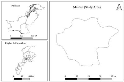 Epidemiological and economic consequences of lumpy skin disease outbreaks on farm households in Khyber Pakhtunkhwa, Pakistan